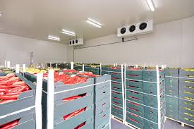 Preserve Freshness with Premium Chilled Storage Solutions
